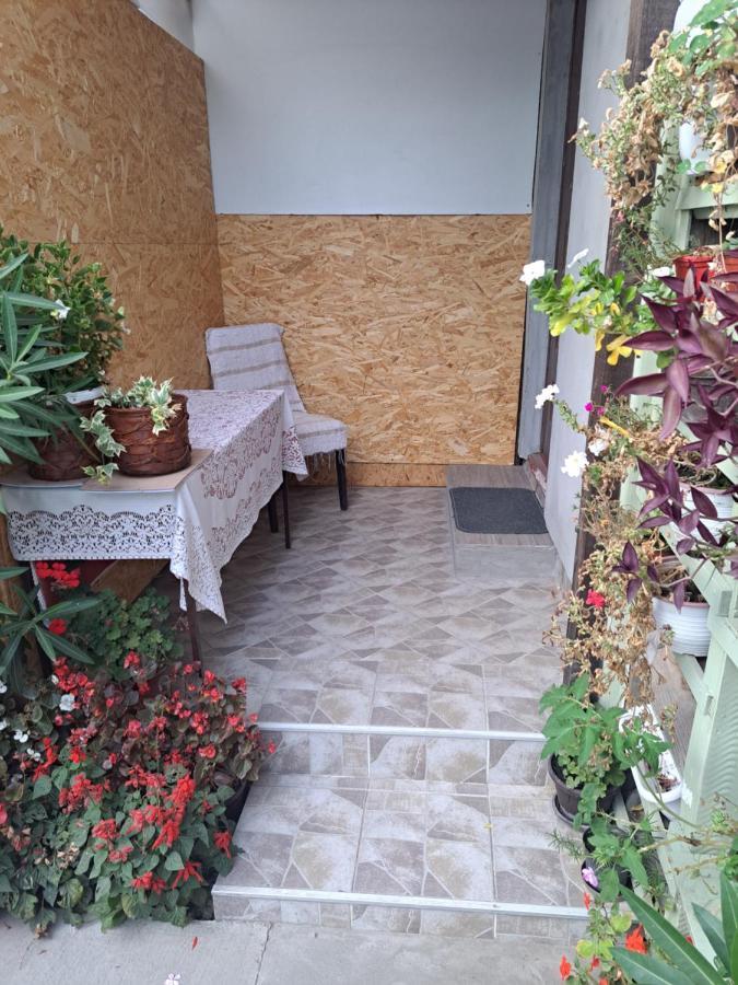 Apartment Capital Town Vk 14 Novi Sad Ngoại thất bức ảnh